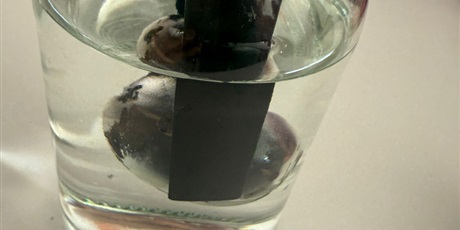 Powiększ grafikę: doswiadczenia-w-swietlicy-686810.jpg