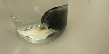 Powiększ grafikę: doswiadczenia-w-swietlicy-686811.jpg