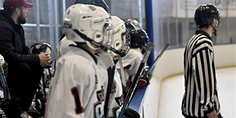 Powiększ grafikę: druzyna-zaka-starszego-gas-olivia-zdobywa-3-miejsce-w-nieoficjalnych-mistrzostwach-polski-u-12-w-hokeju-na-lodzie-650247.jpg