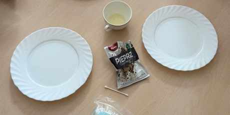 Powiększ grafikę: eksperymenty-i-doswiadczenia-w-swietlicy-650779.jpg