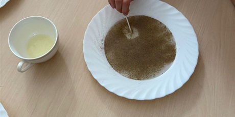 Powiększ grafikę: eksperymenty-i-doswiadczenia-w-swietlicy-650781.jpg