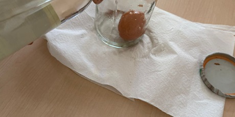 Powiększ grafikę: eksperymenty-i-doswiadczenia-w-swietlicy-650785.jpg