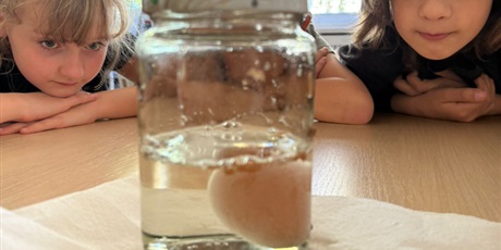 Powiększ grafikę: eksperymenty-i-doswiadczenia-w-swietlicy-650786.jpg