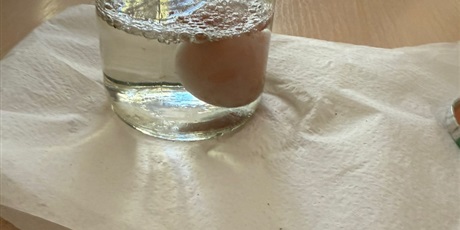 Powiększ grafikę: eksperymenty-i-doswiadczenia-w-swietlicy-650787.jpg