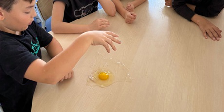 Powiększ grafikę: eksperymenty-i-doswiadczenia-w-swietlicy-650792.jpg