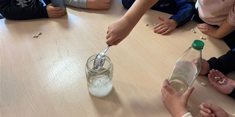 Powiększ grafikę: eksperymenty-i-doswiadczenia-w-swietlicy-651262.jpg