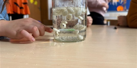 Powiększ grafikę: eksperymenty-i-doswiadczenia-w-swietlicy-651264.jpg