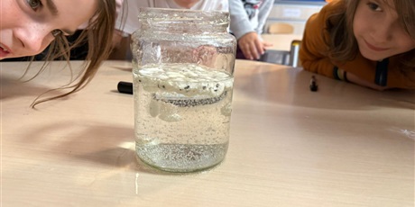 Powiększ grafikę: eksperymenty-i-doswiadczenia-w-swietlicy-651266.jpg