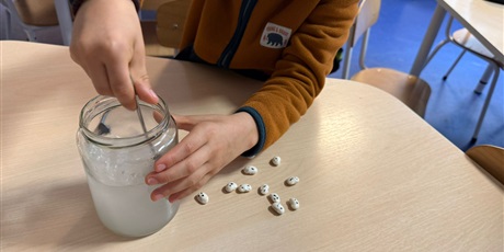 Powiększ grafikę: eksperymenty-i-doswiadczenia-w-swietlicy-651268.jpg