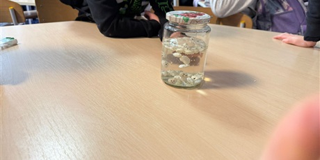 Powiększ grafikę: eksperymenty-i-doswiadczenia-w-swietlicy-651269.jpg