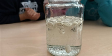 Powiększ grafikę: eksperymenty-i-doswiadczenia-w-swietlicy-651270.jpg