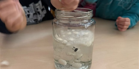 Powiększ grafikę: eksperymenty-i-doswiadczenia-w-swietlicy-651271.jpg