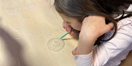 Powiększ grafikę: eksperymenty-i-doswiadczenia-w-swietlicy-658535.jpg