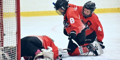 Powiększ grafikę: eliminacje-turnieju-niepodleglosci-w-malborku-uczniow-sp-35-650255.jpg