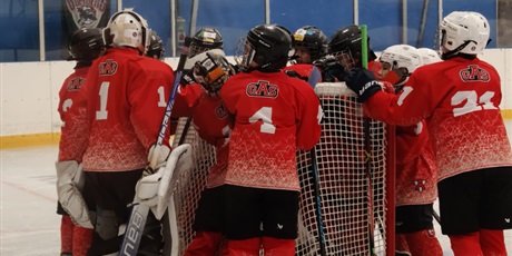 Powiększ grafikę: eliminacje-turnieju-niepodleglosci-w-malborku-uczniow-sp-35-650260.jpg