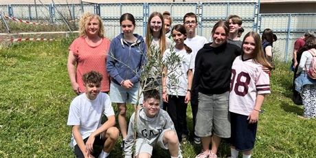 Powiększ grafikę: uczniowie - zdjęcie zbiorowe