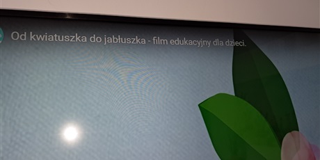 Powiększ grafikę: jablka-jabluszka-czerwone-zielone-i-zolte-642527.jpg