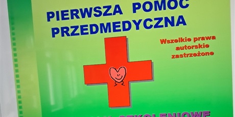 Powiększ grafikę: pierwsza-pomoc-przedmedyczna-711152.jpg