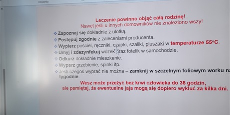 Powiększ grafikę: potrafimy-dbac-z-wszawica-529972.jpg