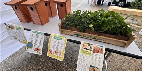 Powiększ grafikę: zdjęcie przedstawiające karmniki dla ptaków  i rośliny zielone