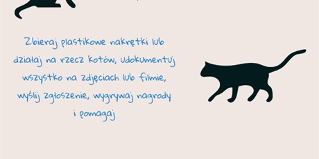 Powiększ grafikę: wspieramy-gdanskie-koty-akcja-legowisko-316144.jpg