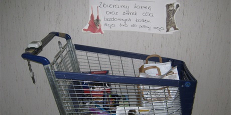 Zakończenie akcji Szkolnego Koła Wolontariatu na rzecz Dzieci z Domu Samotnej Matki w Matemblewie, oraz Fundacji „Kotella” opiekującej się bezdomnymi kotkami.
