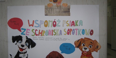 Powiększ grafikę: zbiorka-dla-zwierzat-ze-schroniska-sopotkowo-560698.jpg